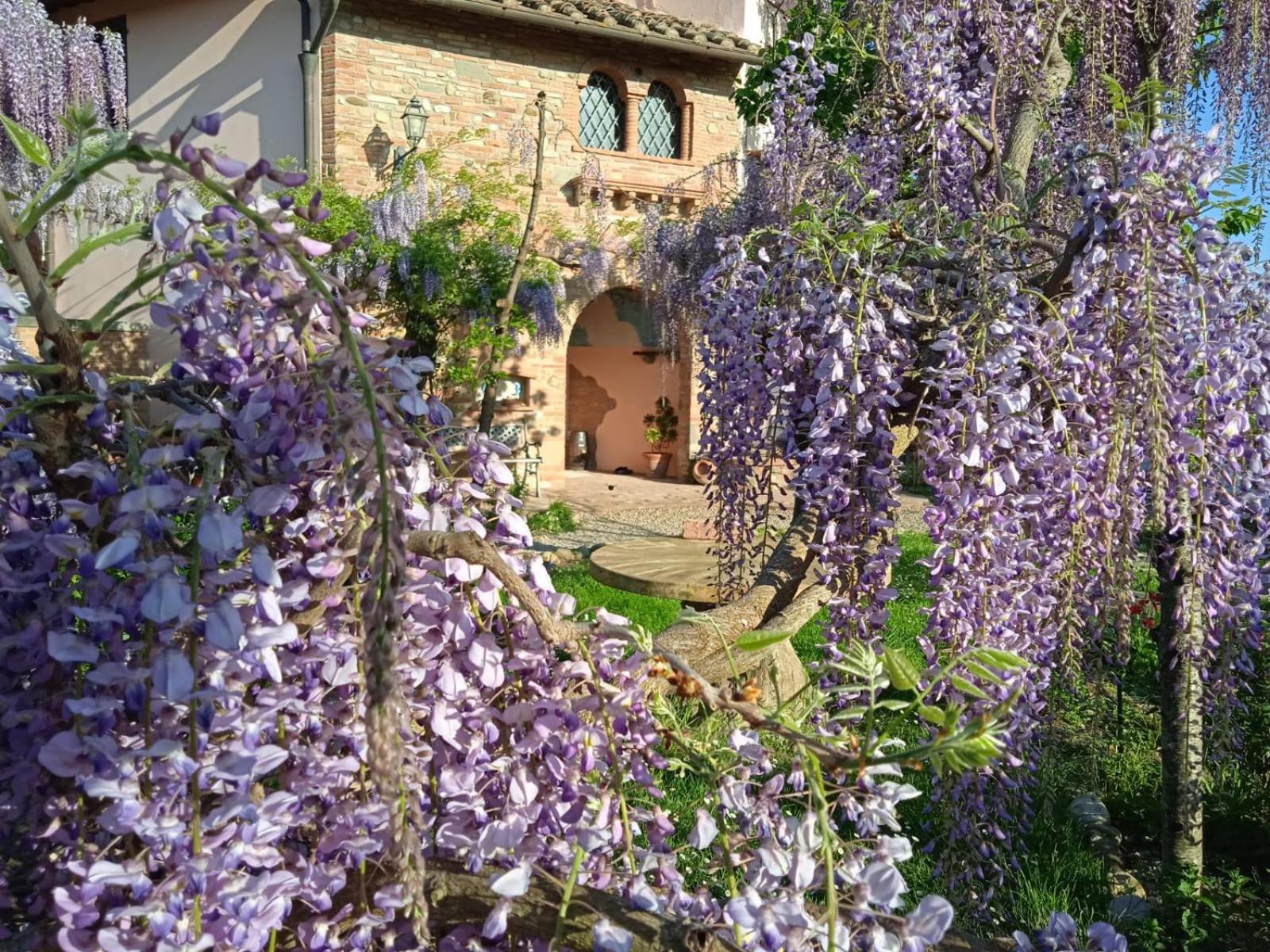 B&B Il Poggetto Montespertoli Exterior foto