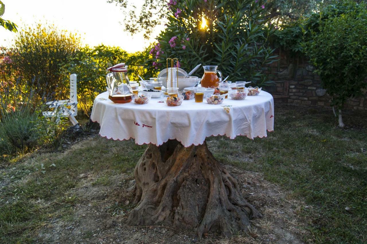 B&B Il Poggetto Montespertoli Exterior foto